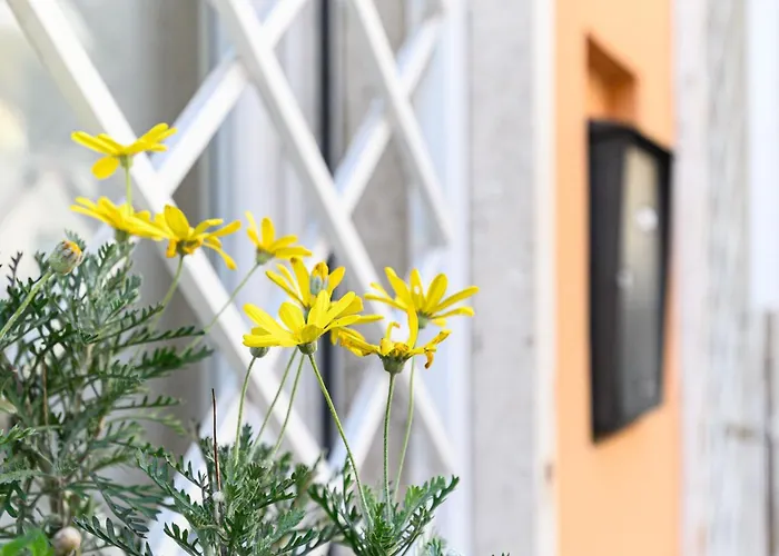 Weinrome Vatican Indipendent Apartment *